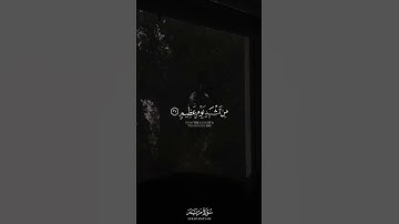 ما تيسر من سورة مريم ｜ القارئ شريف مصطفى ｜ قرآن كريم