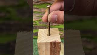 O segredo que nenhum carpinteiro te conta #marcenaria #parafuso #arame #DIY #ferramentas #oficina