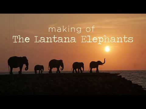 The Lantana Elephants