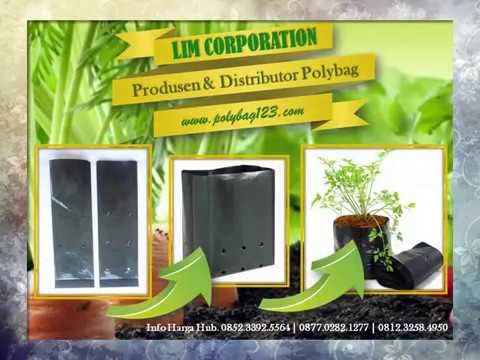 Toko trubus jl. Tenggilis tengah surabaya, menjual macam-macam perlengkapan menanam, bibit tanaman s. 