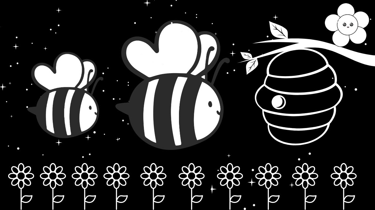 Baby Bear | Black and White Bee Sensory | Visual Tracking and Calming Music