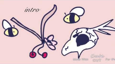 Falling for you “map”open  canceled🦵