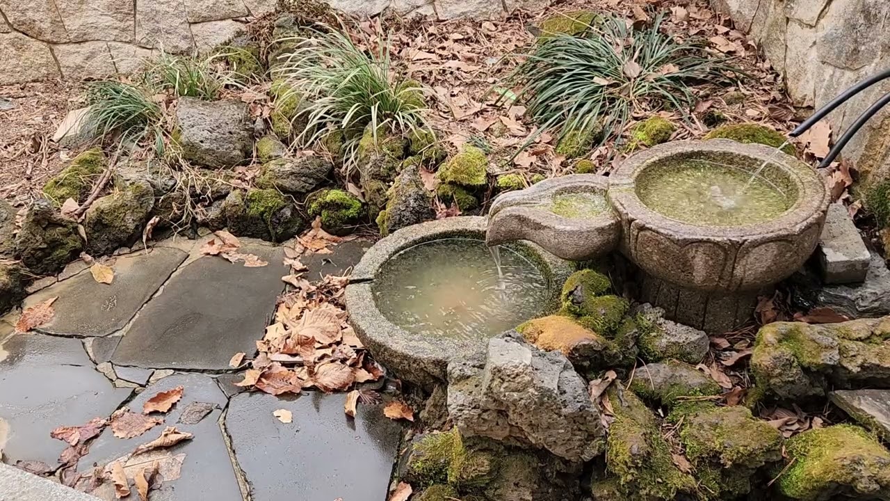 가만히 멍때리기-10분 힐링-이른 아침의 약수터-작은새의 물놀이