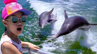 You won't believe what we saw on the Mega Bite Dolphin tour in clearwater!