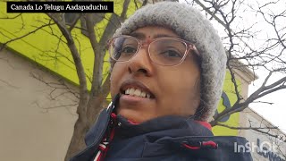 Freshco lo Indian groceries, snacks, vegetables| Canada Lo Telugu Aadapaduchu 
