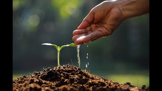 Nevruz Bayramı Kutlu Olsun