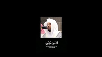 سورة الأحقاف #ياسر_الدوسري