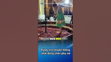 Cách người Châu Âu làm rượu nho truyền thống #shorts