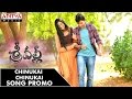Chinukai Chinukai Song Promo || Srivalli Movie || Rajath, Neha Hinge || VijayendraPrasad