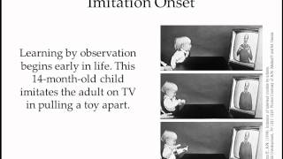 chp 8 part III.mp4
