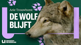 Waarom mogen we de wolf niet afschieten?