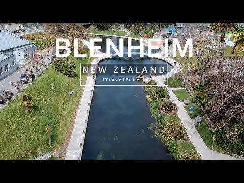 Blenheim City (Marlborough Region), New Zealand | Drone Footage