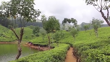 محمد رشاد الشريف سورة التوبة 09 مصطفى غريب