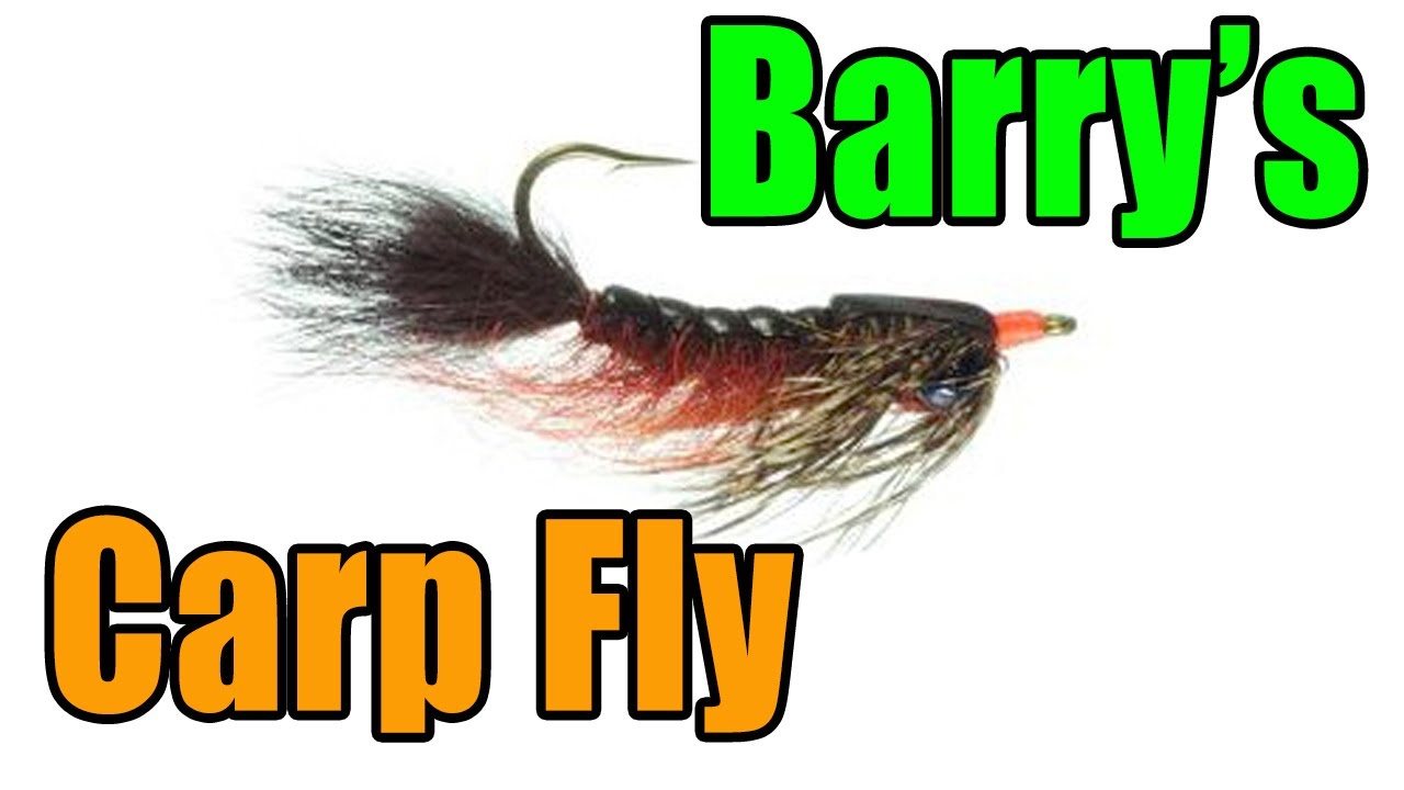 Barry's Carp Fly - Barry Reynolds Fly Pattern 