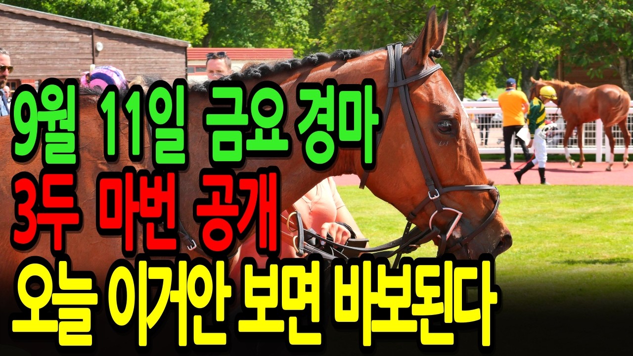 9월 11일 금요일 경마~ 오늘 이거 안 보면 바보 된다 | 이번 주말 대박 복병 공개ㅣ승전경마 전문가의 이변 포착 l 경마 l 경마예상 l 코리아레이스 l 검빛경마 ㅣ경마정보