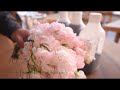 【花屋】ピンクのスイートピーをさらに染めたら。