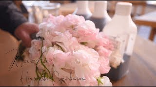 【花屋】ピンクのスイートピーをさらに染めたら。