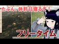 たぶん 道路の敷設中 フリータイム 個人Vtuber コメントお待ちです 健康重視配信 たぶん 道路の敷設中 フリータイム 個人Vtuber コメントお待ちです 健康重視配信