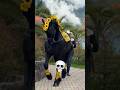 POV: Your Horse Starts Dancing Better Than You 💀🐎 #shortvideo