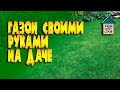 Газон на даче. Виды газонов для дачи . Разновидности газонов.