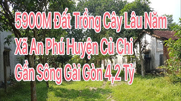 Bán 5900m đất trồng cây lâu năm có nhà cấp 4 giá 4,2 tỷ xã An Phú Củ Chi