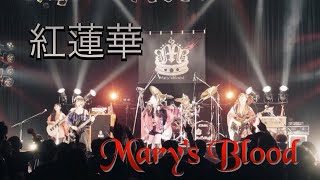 「紅蓮華」【Cover by Mary's Blood】 (SUPER LIVE 2020 at O-WEST)/ Demon Slayer：Kimetsu no Yaiba OP “Gurenge”