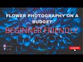 How to do flower photography on a budget