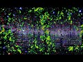 Wgsb8wswh W Suhbs X Eeeee 27 615 273 897 625 527BPM The Fastest Song In The World Wgsb8wswh W Suhbs X Eeeee 27 615 273 897 625 527BPM The Fastest Song In The World