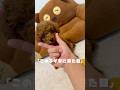 当たり前だと思ってた幸せな日常🐶🐾