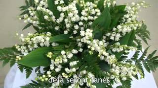 Video thumbnail of "Francis Lemarque - Le temps du muguet (sous-titré en français)"