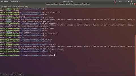 Basic Linux Commands: Get Started with Linux CLI