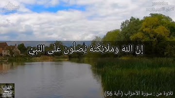 ارح سمعك...تلاوه هادئه تريح العقل والقلب ‏💚🎧 | حالات واتس اب دينية قصيرة
