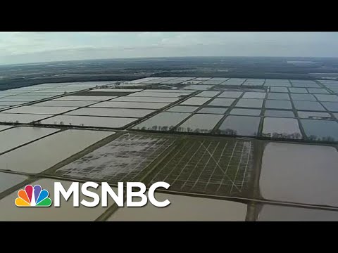 Historic Midwest Floods Expose Fragile Ecosystem | All In | MSNBC