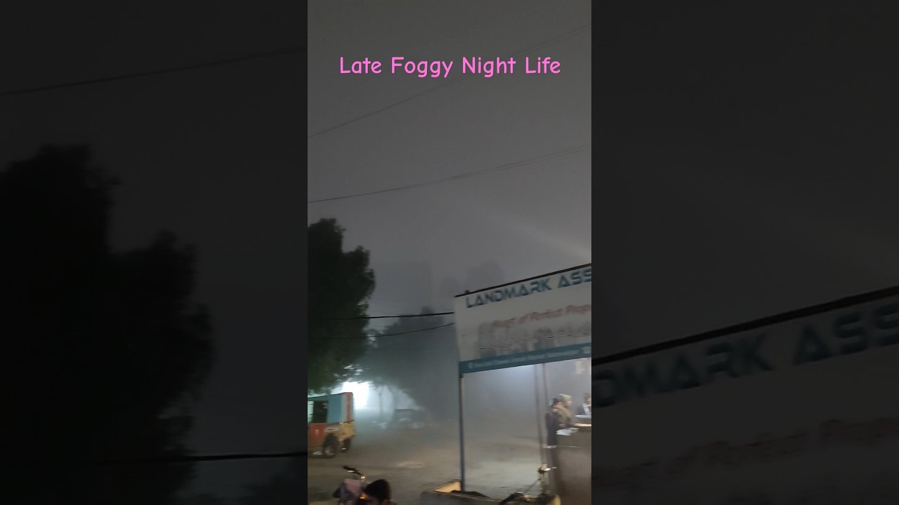 Foggy Street Life in winter foggy winter night nightlife 