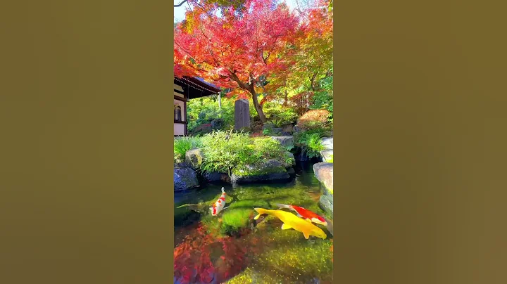 Japan is a dream ✨ - DayDayNews