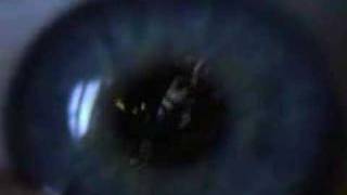 Decoys 1 TRAILER