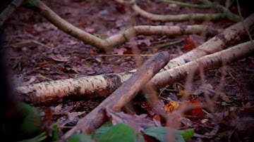 Bobcat Wood Chipper Attachment