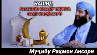 НАШИД : РАМАЗОН ОМАДУ ОҲИСТА САДО КАРД МАРО - МУҶИБУ РАҲМОН АНСОРИ ✅☘️👍🤲