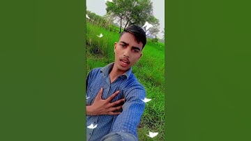 #hamukaka