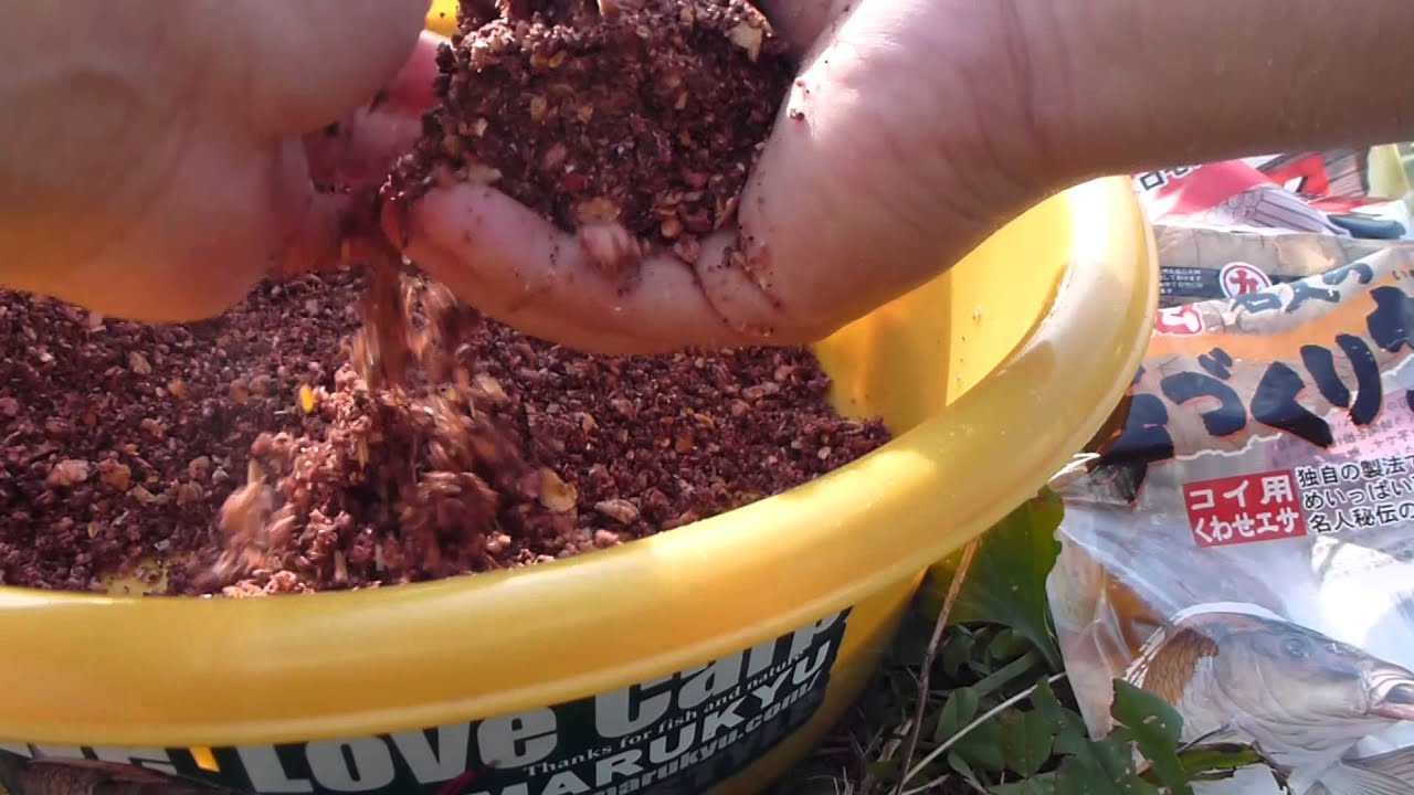 「鯉パワー神通力」 - MaxresDefault 「鯉パワー神通力」 - MaxresDefault