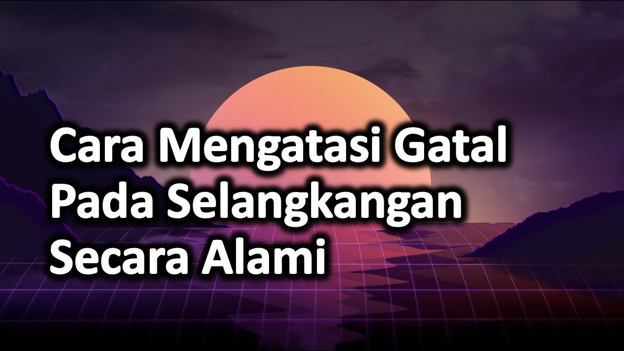 Tips Kucing