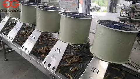 Gelgoog Company Continuous Snack Frying Machine Video