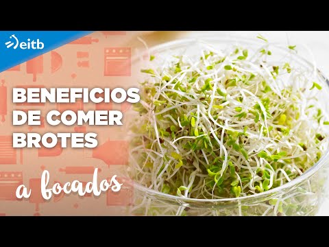 Video: Los Beneficios Del Berro