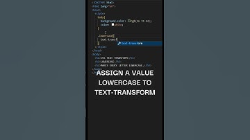 CSS text-transform - convert text to lowercase #css #texttransform #lowercase #frontenddevelopment