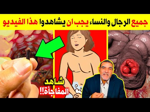 فيديو: هل يصنع خيلك علاجًا جيدًا؟