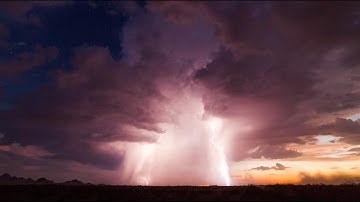 Forest Mountain Lion - Peace and Possibility (Official Music Video)