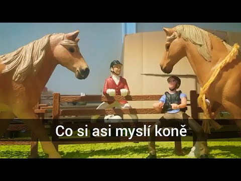 Video: Čo Si Myslí