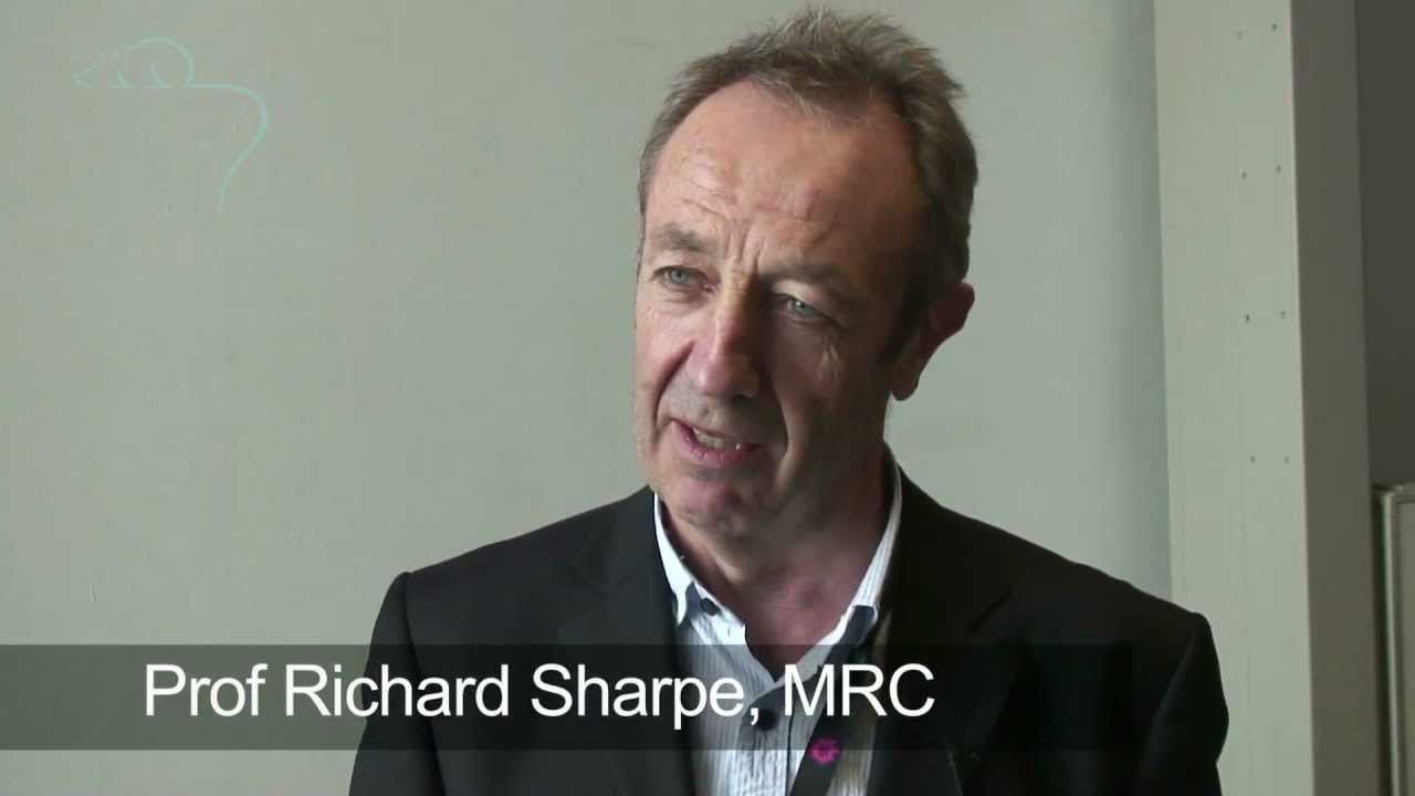 medical research jobs Growing human testis tissue in mice to study human reproductive disorders