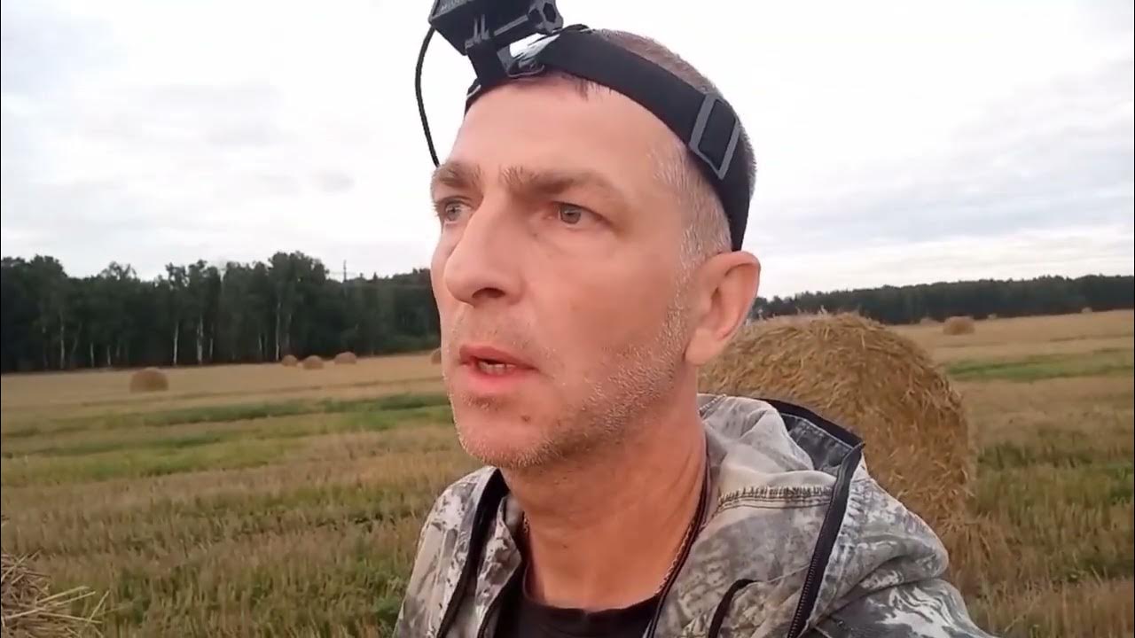Охота на лису! Манок (Крик раненого зайца). - YouTube