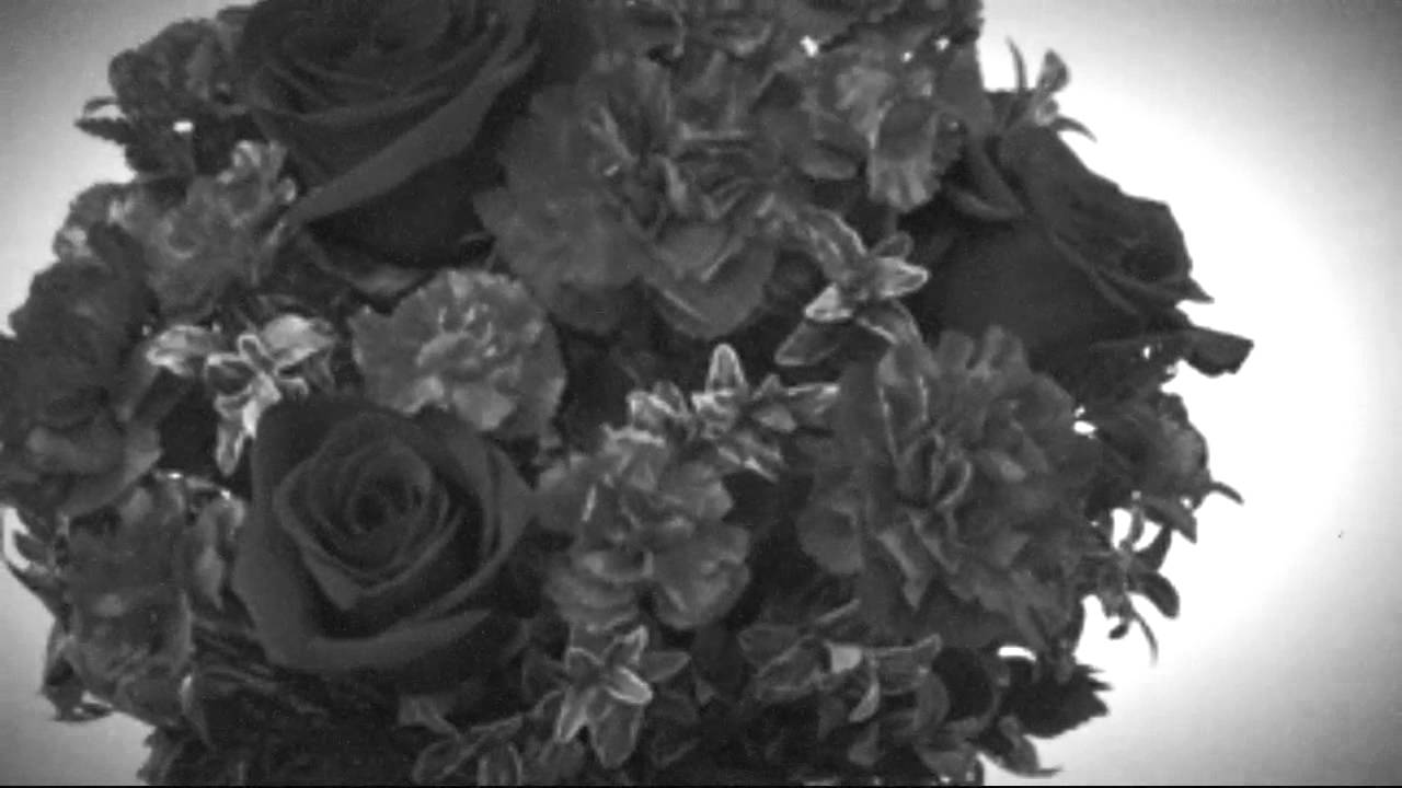 flowers & florists in Fairport, Fredonia, Fulton, Fishkill and